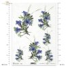  papier-ryżowy-decoupage-łąka-ogród-lato-bukiet-kwiaty-R0166
